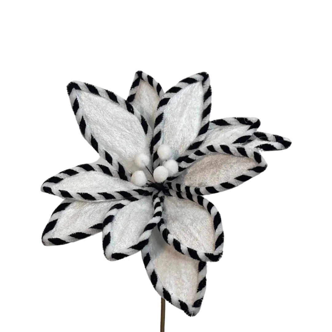 Black and White Velvet Poinsettia Pick