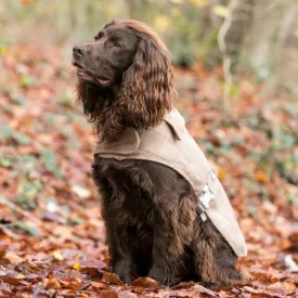 Caramel Checked Tweed Dog Coat